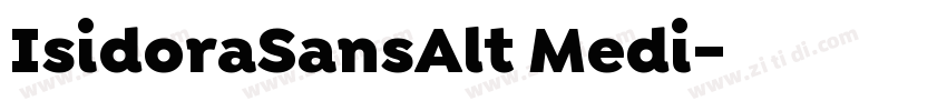 IsidoraSansAlt Medi字体转换